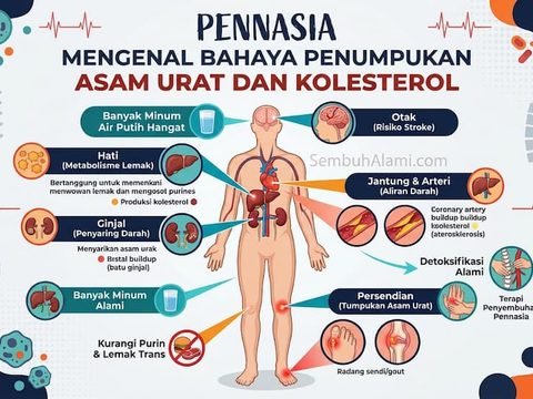 Mengenal Bahaya Penumpukan Asam Urat dan Kolesterol