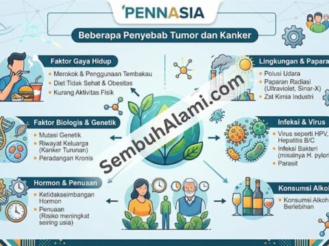 Apakah Karsinogen Mengendap di Payudara dan Rahim?